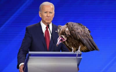 Vulture Lands on Biden’s Podium During Televised Campaign Speech