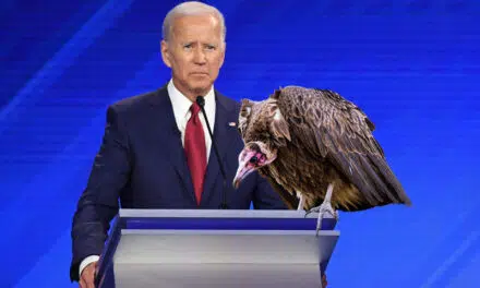Vulture Lands on Biden’s Podium During Televised Campaign Speech